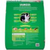 IAMS PROACTIVE HEALTH Minichunks Dry Dog Food, Chicken - Image 2
