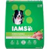 IAMS PROACTIVE HEALTH Minichunks Dry Dog Food, Chicken
