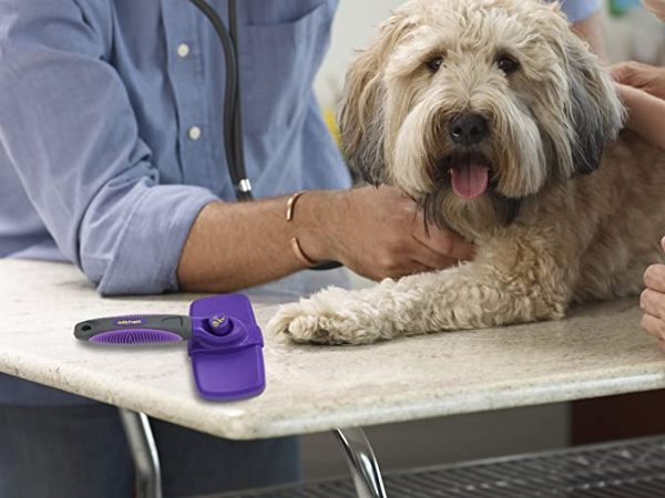 Self Cleaning Slicker Brush – Gently Removes Loose Undercoat, Mats and Tangled Hair – Your Dog or Cat Will Love Being Brushed with The Grooming Brush - Image 2