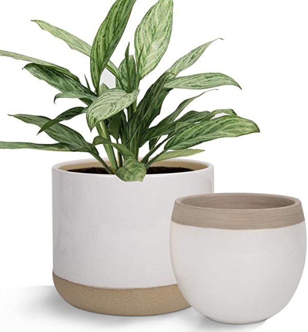 White Ceramic Flower Plant Pots